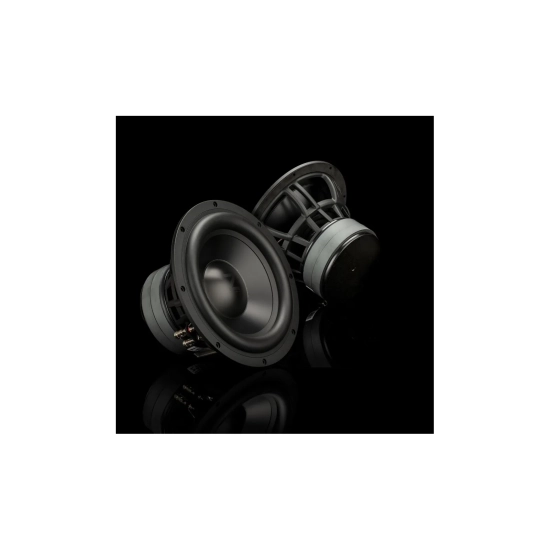 Gladen ZETA 10 – subwoofer Hi-End 10 cali widok główny
