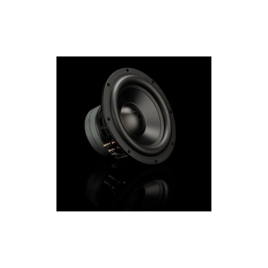 Gladen ZETA 10 – subwoofer Hi-End 10″ / 25 cm, 300 W RMS, Dual 2 Ω