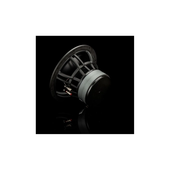 Gladen ZETA 10 – subwoofer Hi-End 10″ / 25 cm, 300 W RMS, Dual 2 Ω