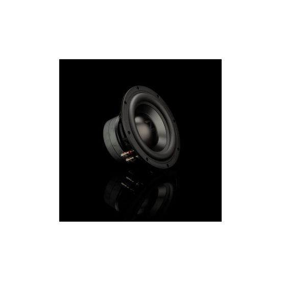 Gladen ZETA 08 – subwoofer Hi-End 8″ / 20 cm, 200 W RMS, Dual 2 Ω