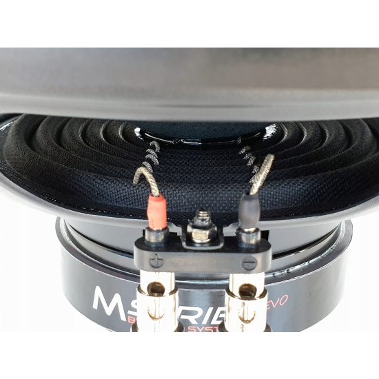 Audio System M10DC EVO ACTIVE 300W RMS mocny aktywny sub