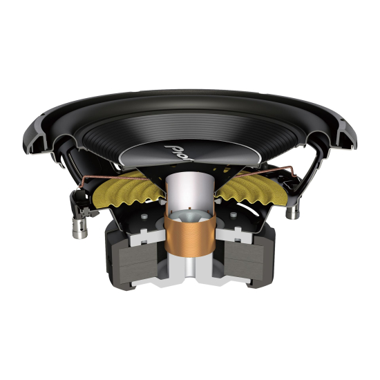 Pioneer TS-A250D4