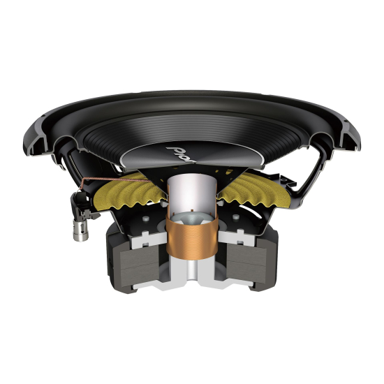 Pioneer TS-A250S4