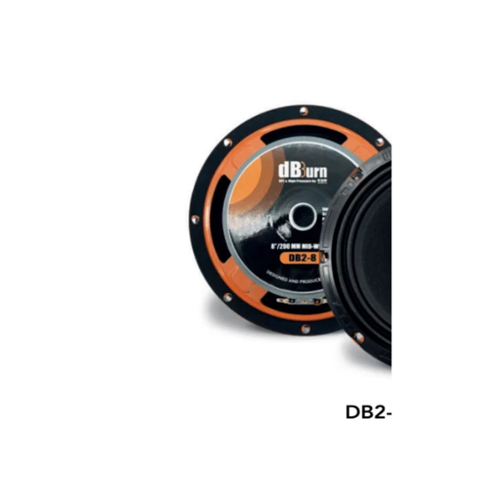 ESB AUDIO DB2-8 – wysokowydajny głośnik średnioniskotonowy 200 mm