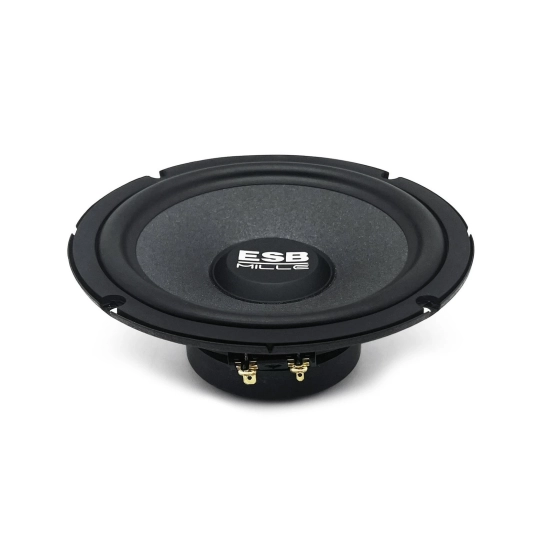 ESB AUDIO 1.6K2X – 2-drożny system głośnikowy 6,5”/ 165 mm + 1” z filtrem 12 dB (para)