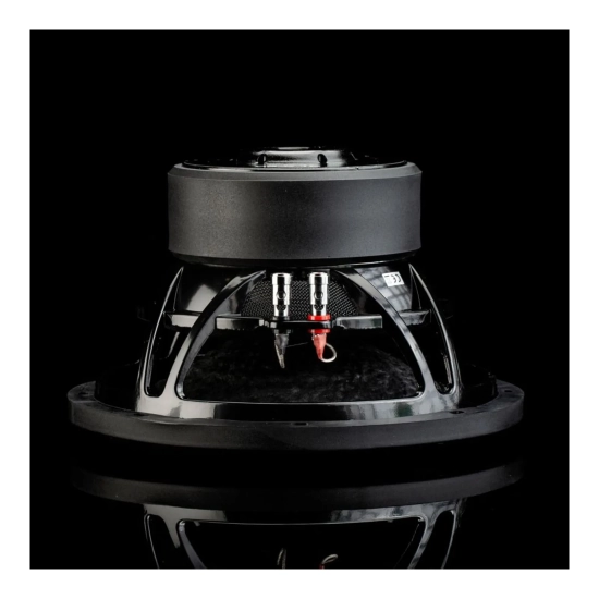 Gladen RS-X 10 – kosz i magnes subwoofera