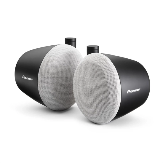 Pioneer TS-STX080 – dwa głośniki z uchwytami