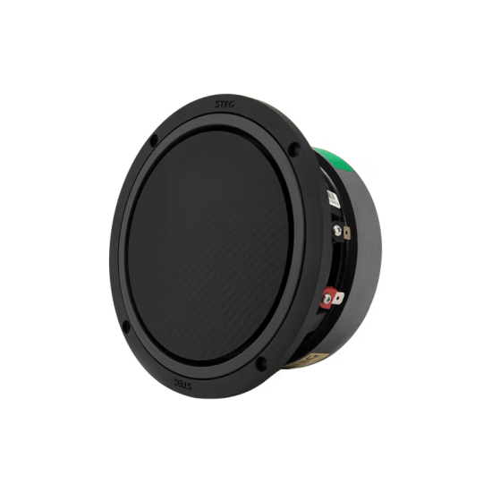 STEG SQW-6 — kompaktowy subwoofer 6 cali